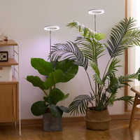 Lumine Grow Lamps For Houseplants