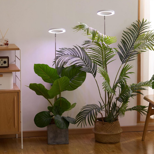 Lumine Grow Lamps For Houseplants