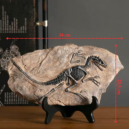Prehistoric Fossil Relic Art