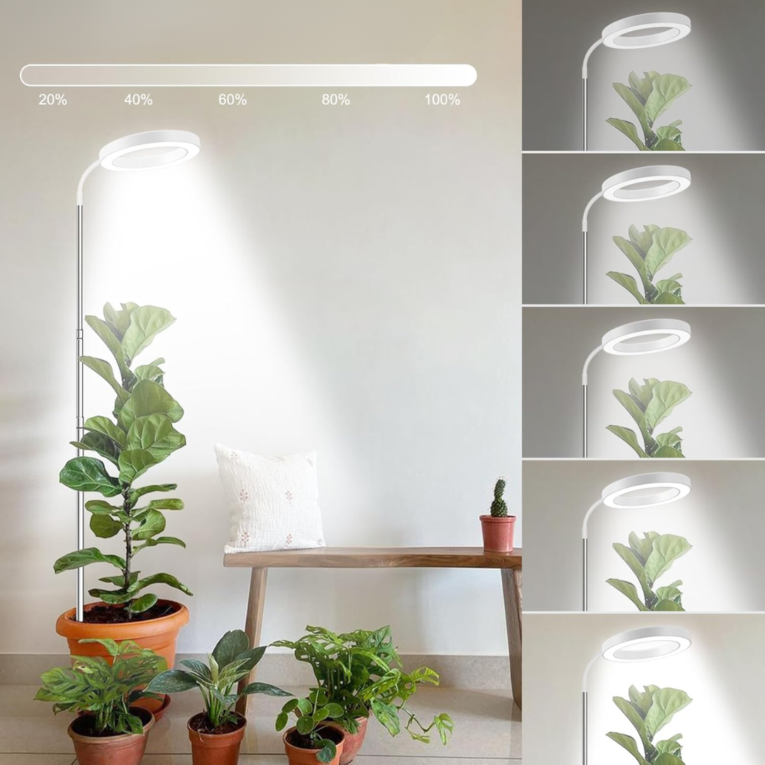Lumine Grow Lamps For Houseplants