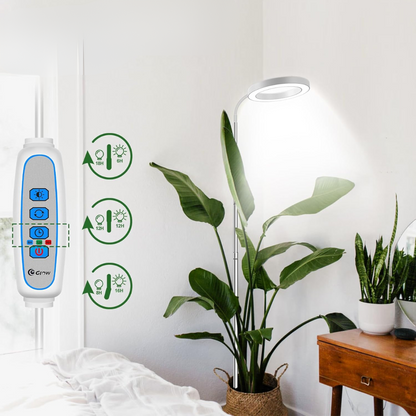 Lumine Grow Lamps For Houseplants