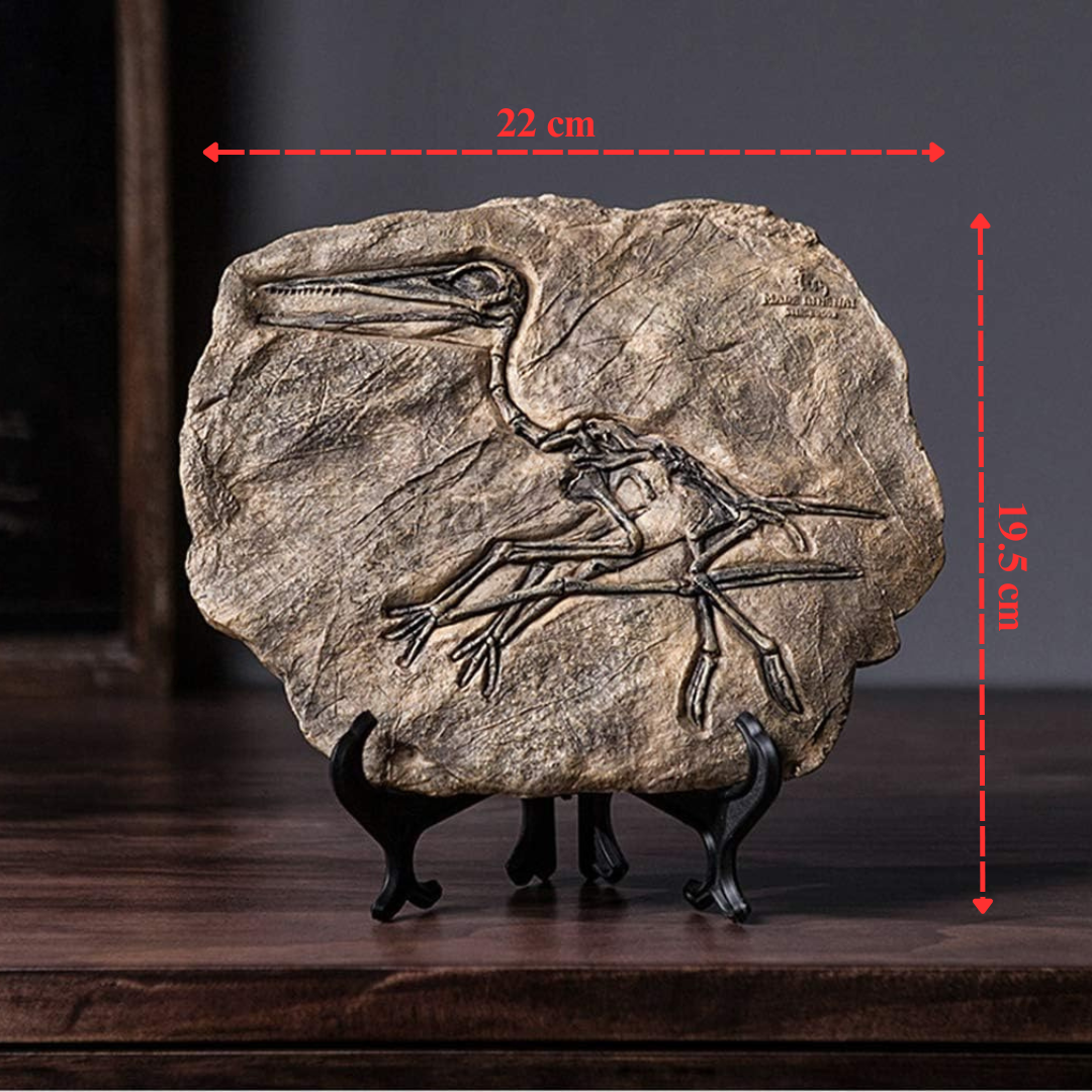 Prehistoric Fossil Relic Art