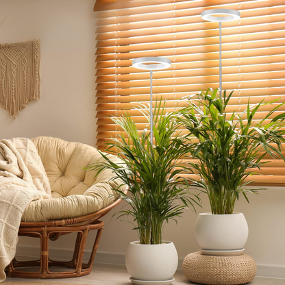 Lumine Grow Lamps For Houseplants