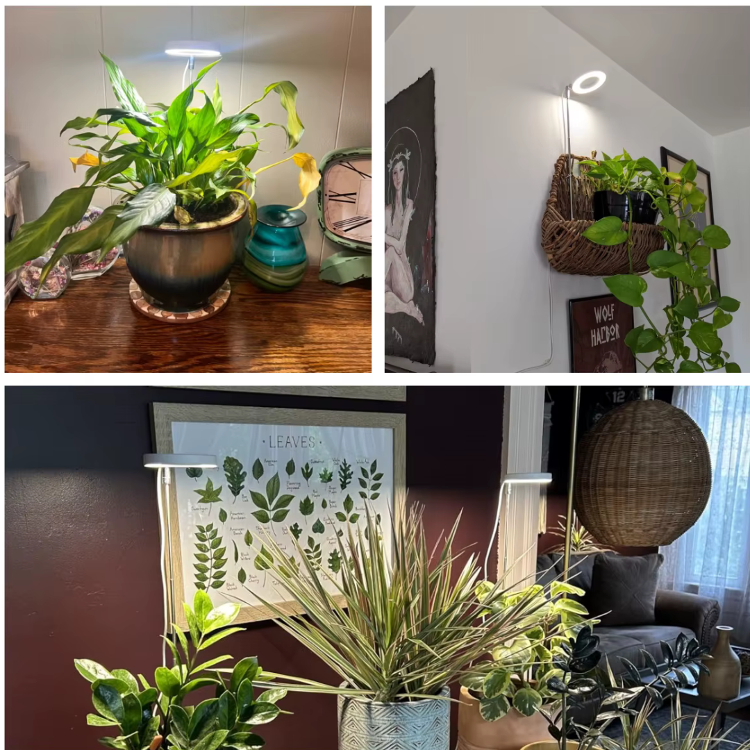 Lumine Grow Lamps For Houseplants