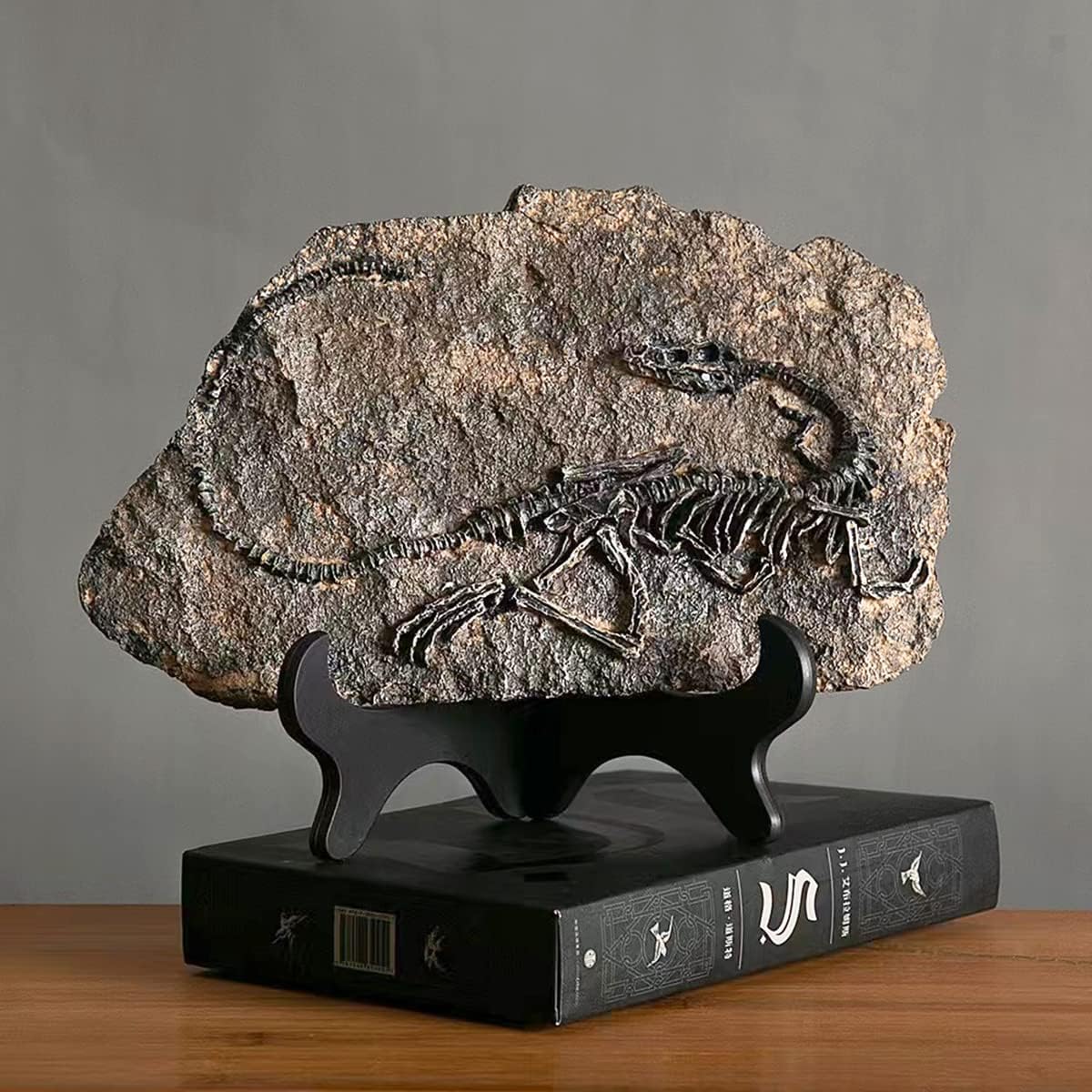 Prehistoric Fossil Relic Art