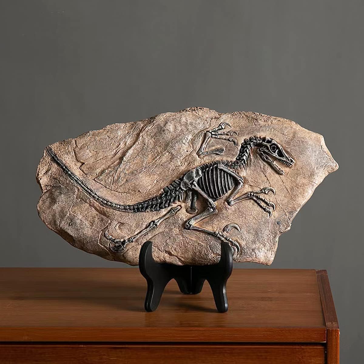 Prehistoric Fossil Relic Art